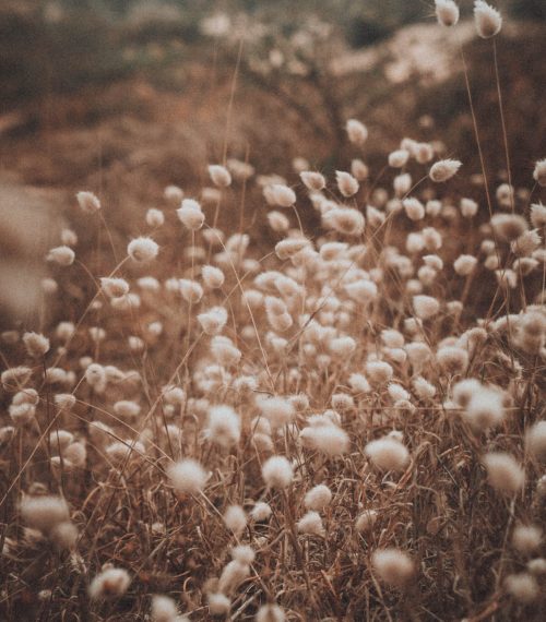 tim-hufner-5a2Siax61QM-unsplash